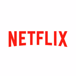 Netflix Subscription 